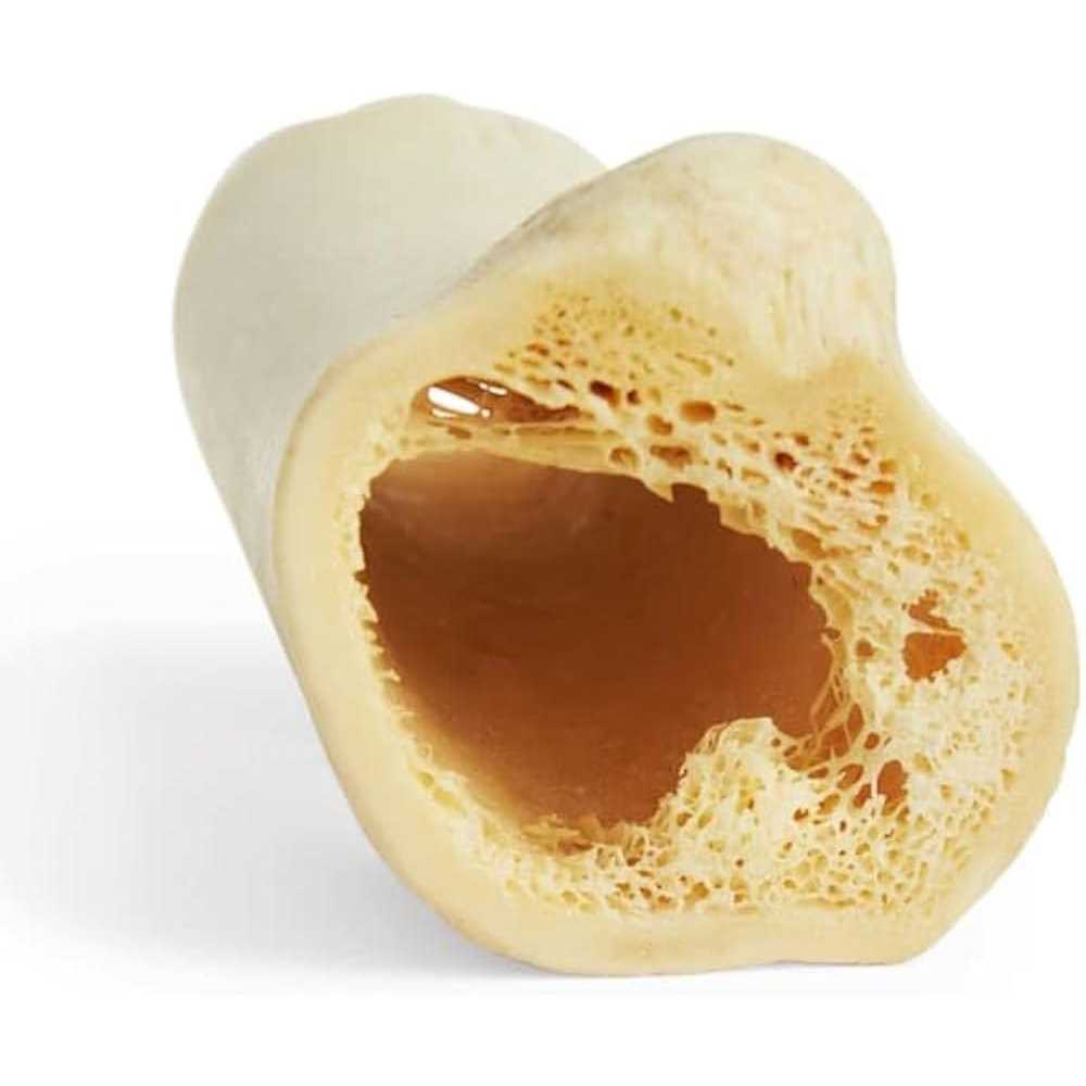 Hollow Bone for Dogs V1341