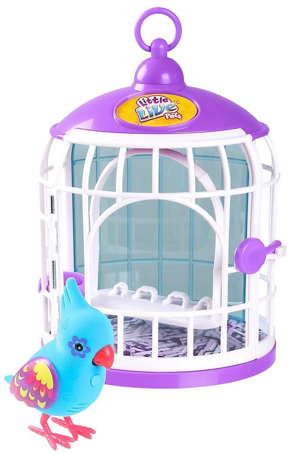Bird with Cage U807559