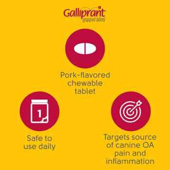 Galliprant mg for Dogs O22231