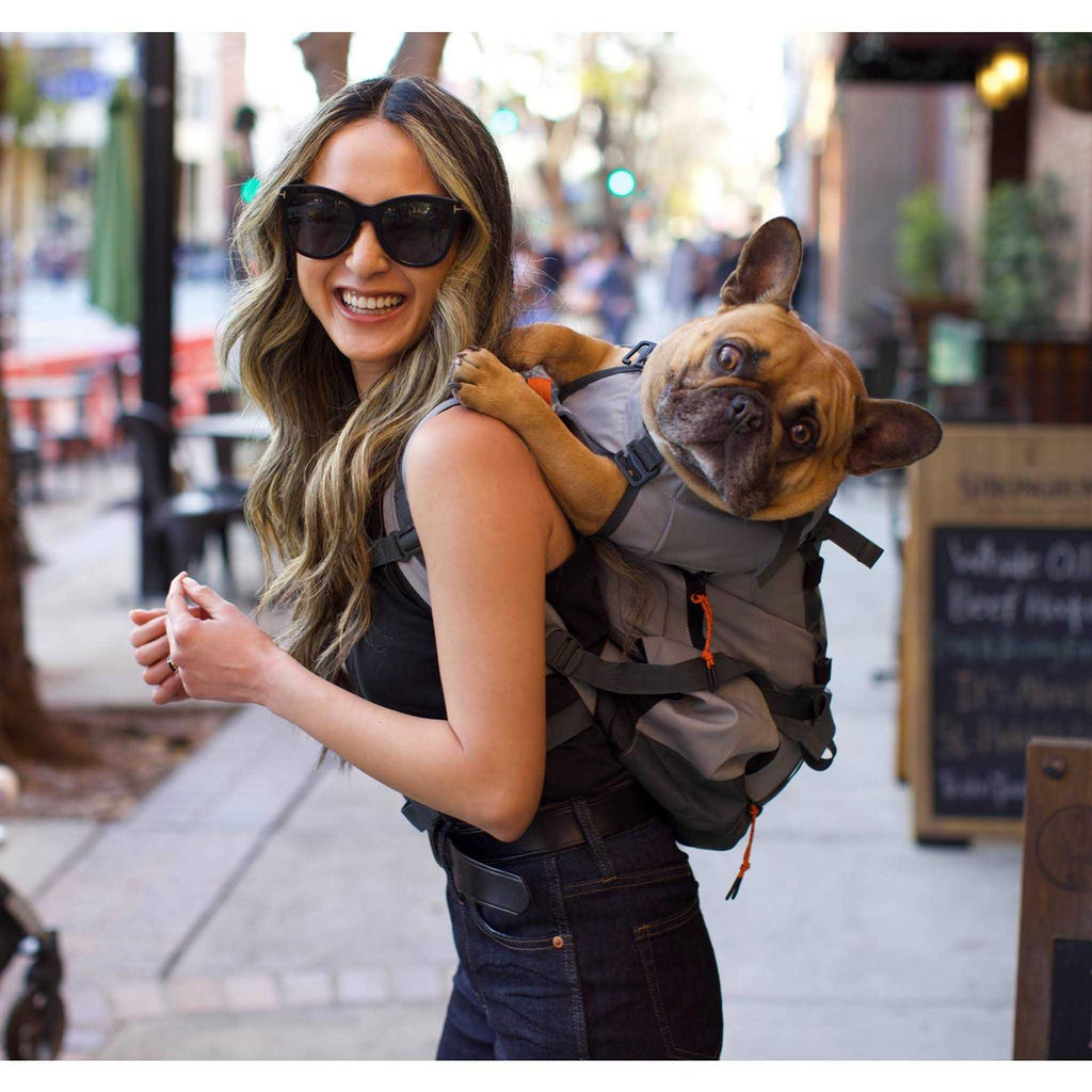 Pet Supplies D700055