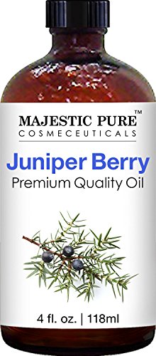 Tea Tree Essential Oil 1 Fl Oz Y1761