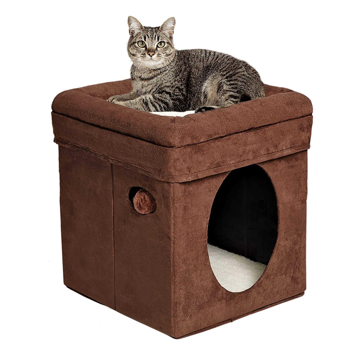 Curious Cat Cube V849613