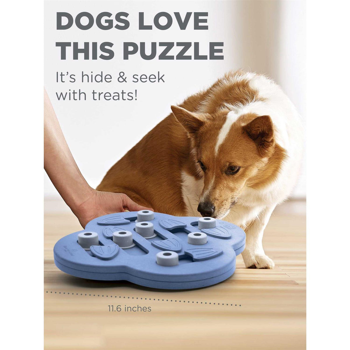 Hide N Slide Puzzle Dog Toy J119796