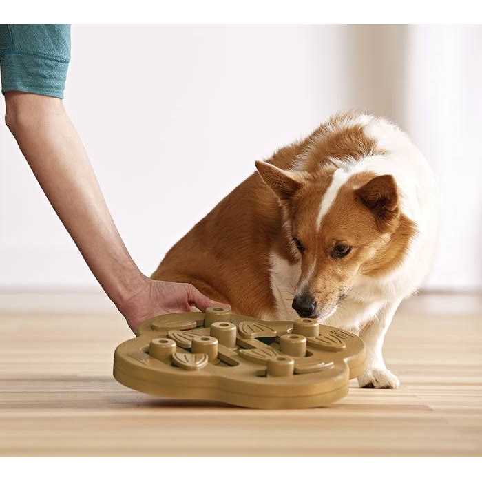 Hide N Slide Puzzle Dog Toy J119796