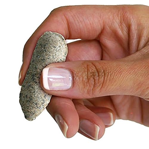 6 Count Garden Fertilizer Spikes B745788