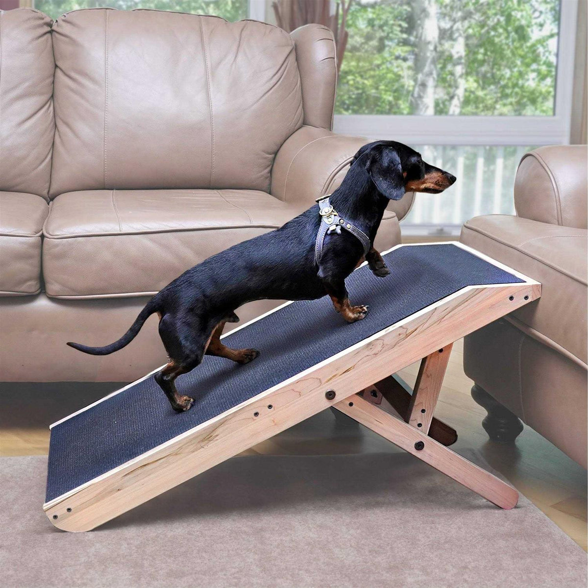 Dog Ramp N558