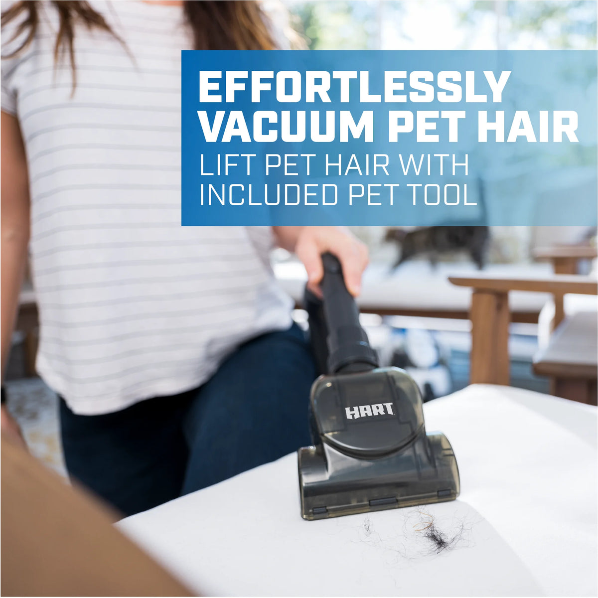 Bagless Canister Vacuum C235