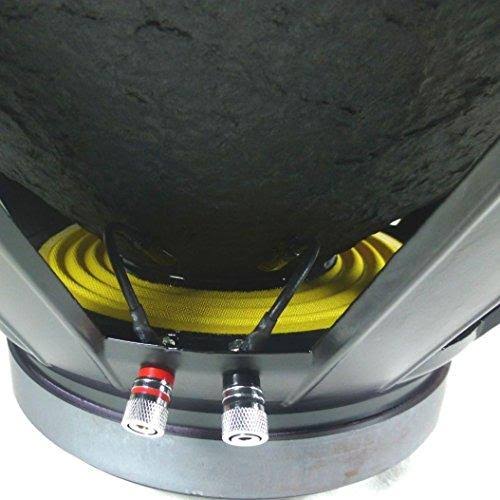 1000W Cast Frame Sub-woofer Speaker H1291