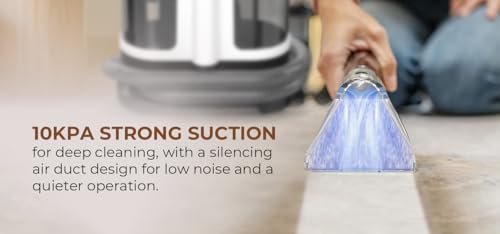 Portable Carpet and Upholstery Cleaner E6296