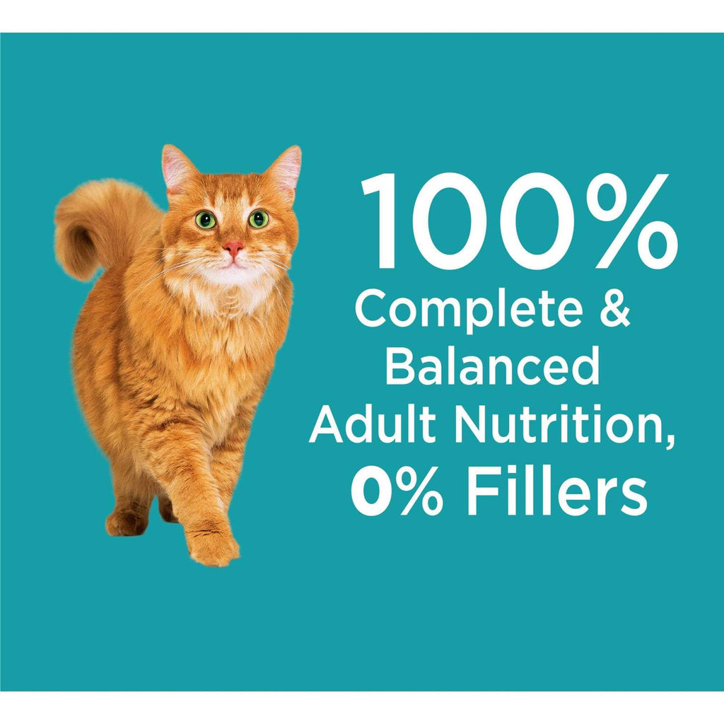 Indoor Dry Cat Food F50829