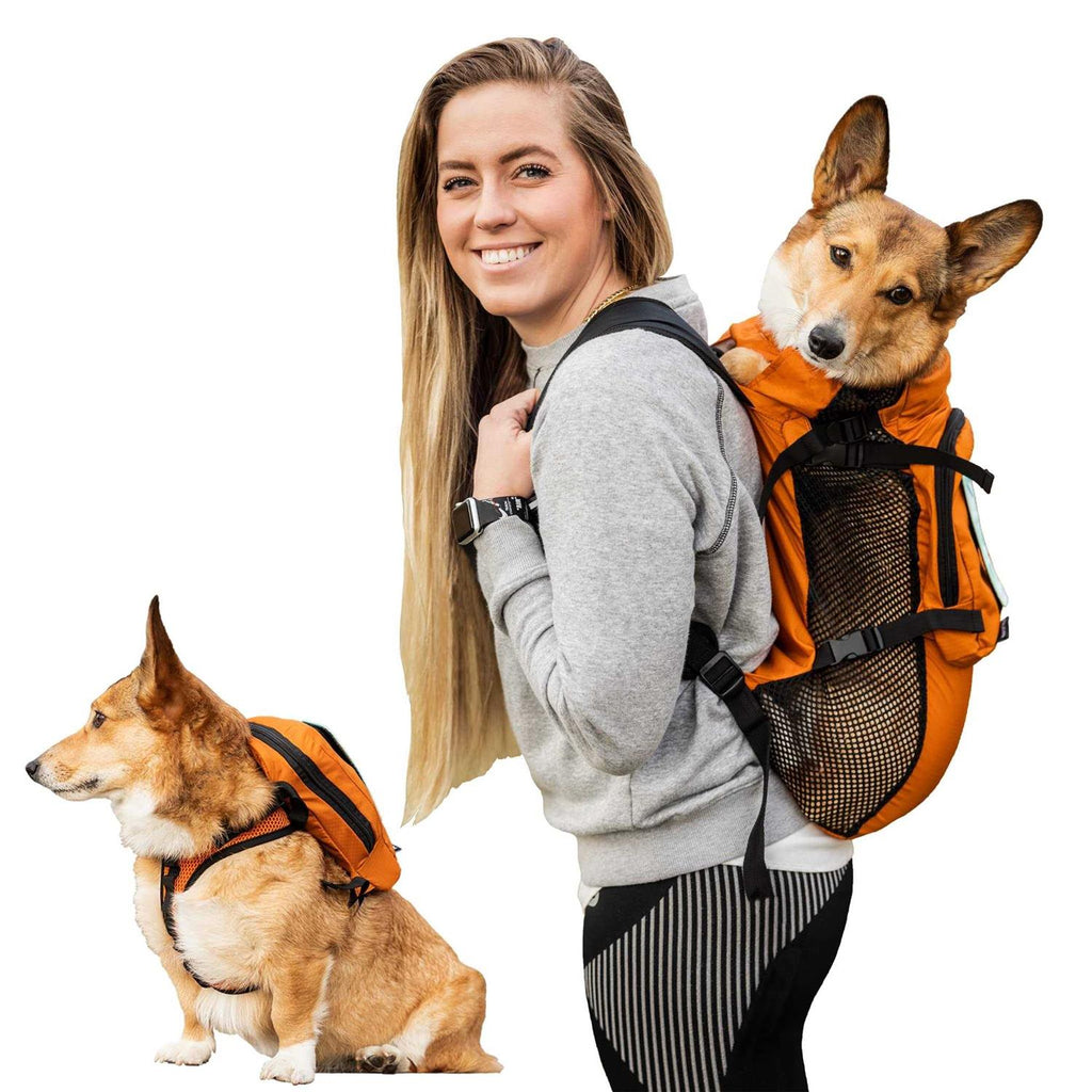 Pet Harness with Storage J556