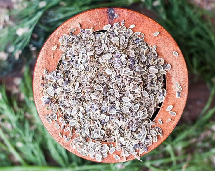 Dill Seeds, 5 Pounds R1562