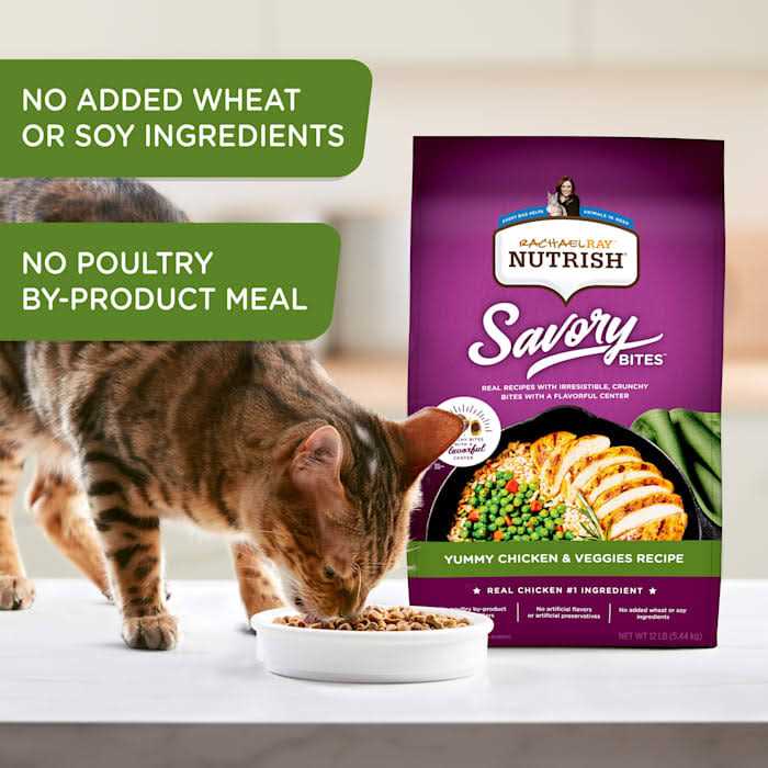 Dry Cat Food H21421