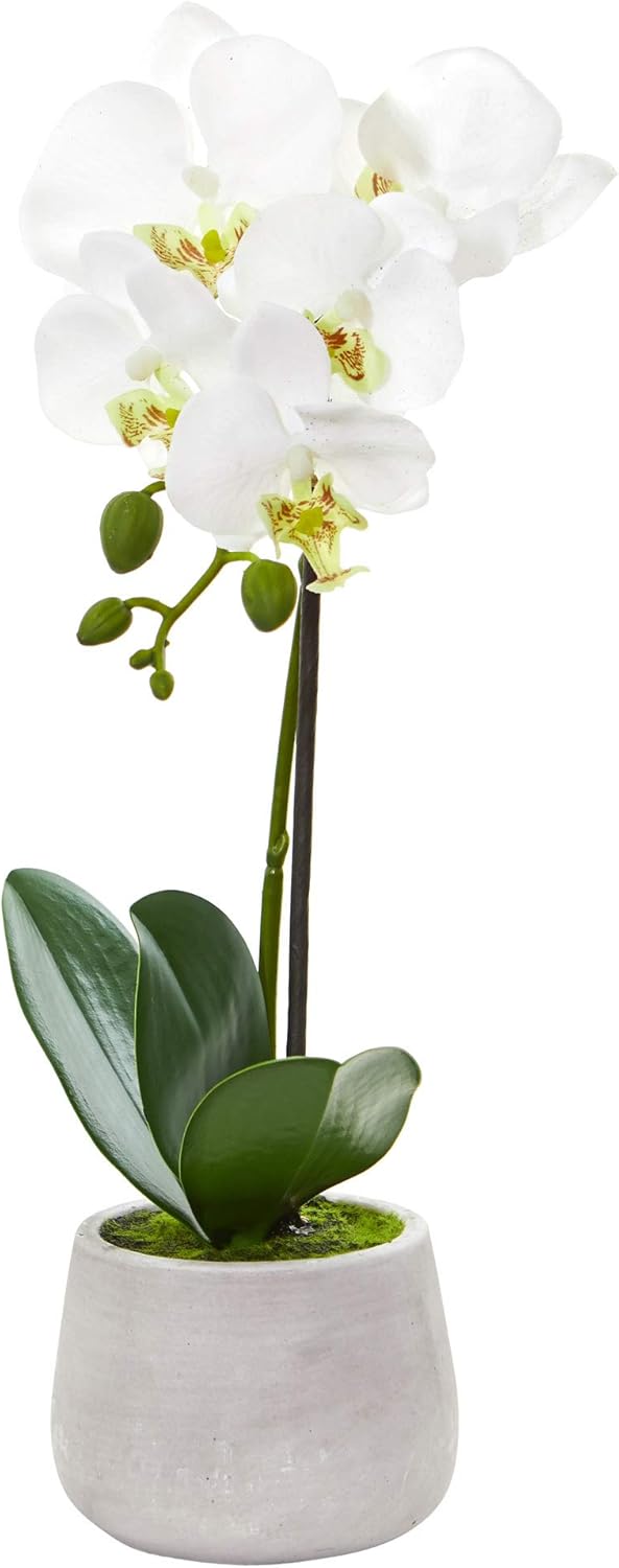 Set of 2 Artificial Phalaenopsis Orchid Arrangement N461852