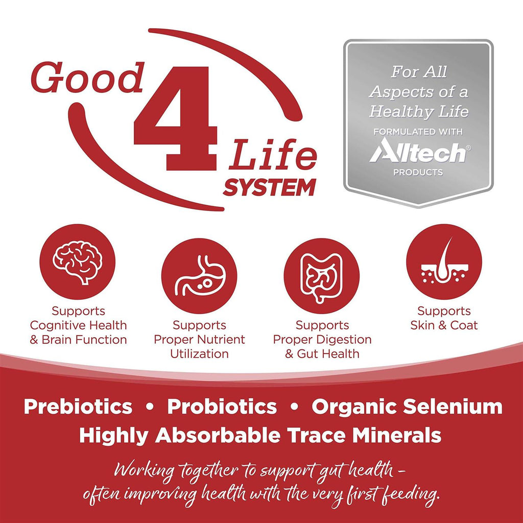 Beef & Red Lentils Grain Free Dry Dog Food R1720