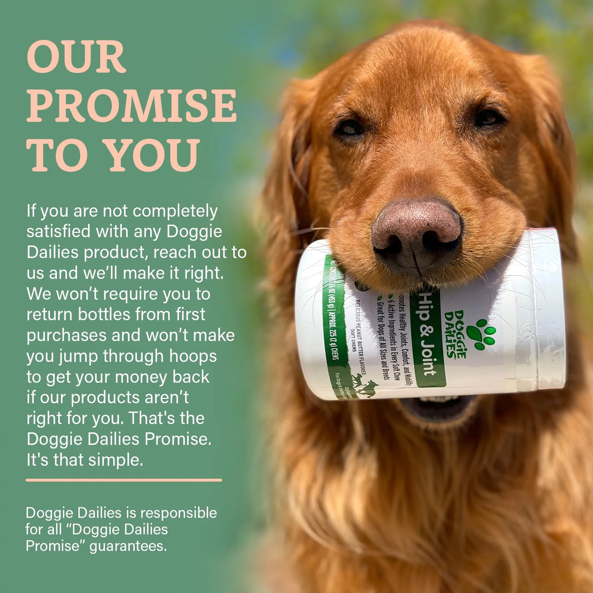 Glucosamine for Dogs 225 Chews Joint Supplement with Chondroitin MSM Hyaluronic Acid CoQ10 Chicken S326