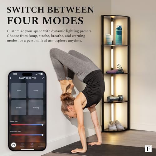 LED Display Shelf with Dimmable Lights, Tall Floor Lamps with Shelves T522