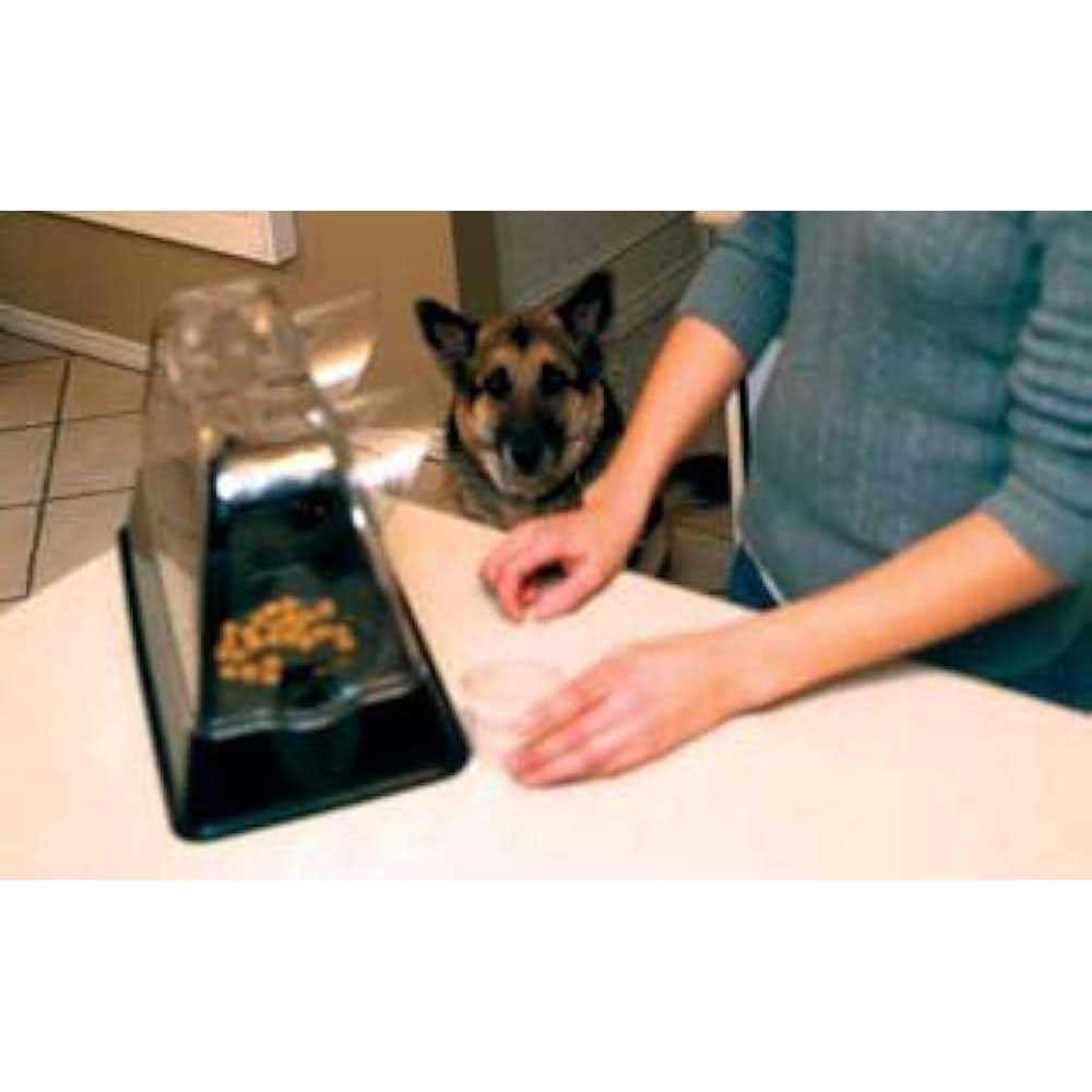 Veterinarian Designed Cat Feeding Bowl O359