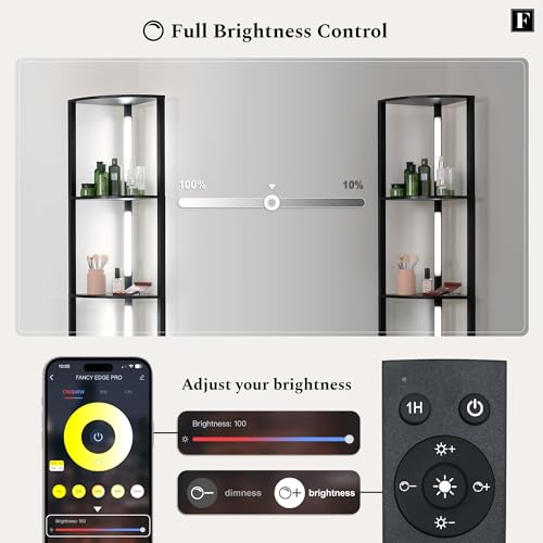 LED Display Shelf with Dimmable Lights, Tall Floor Lamps with Shelves T522