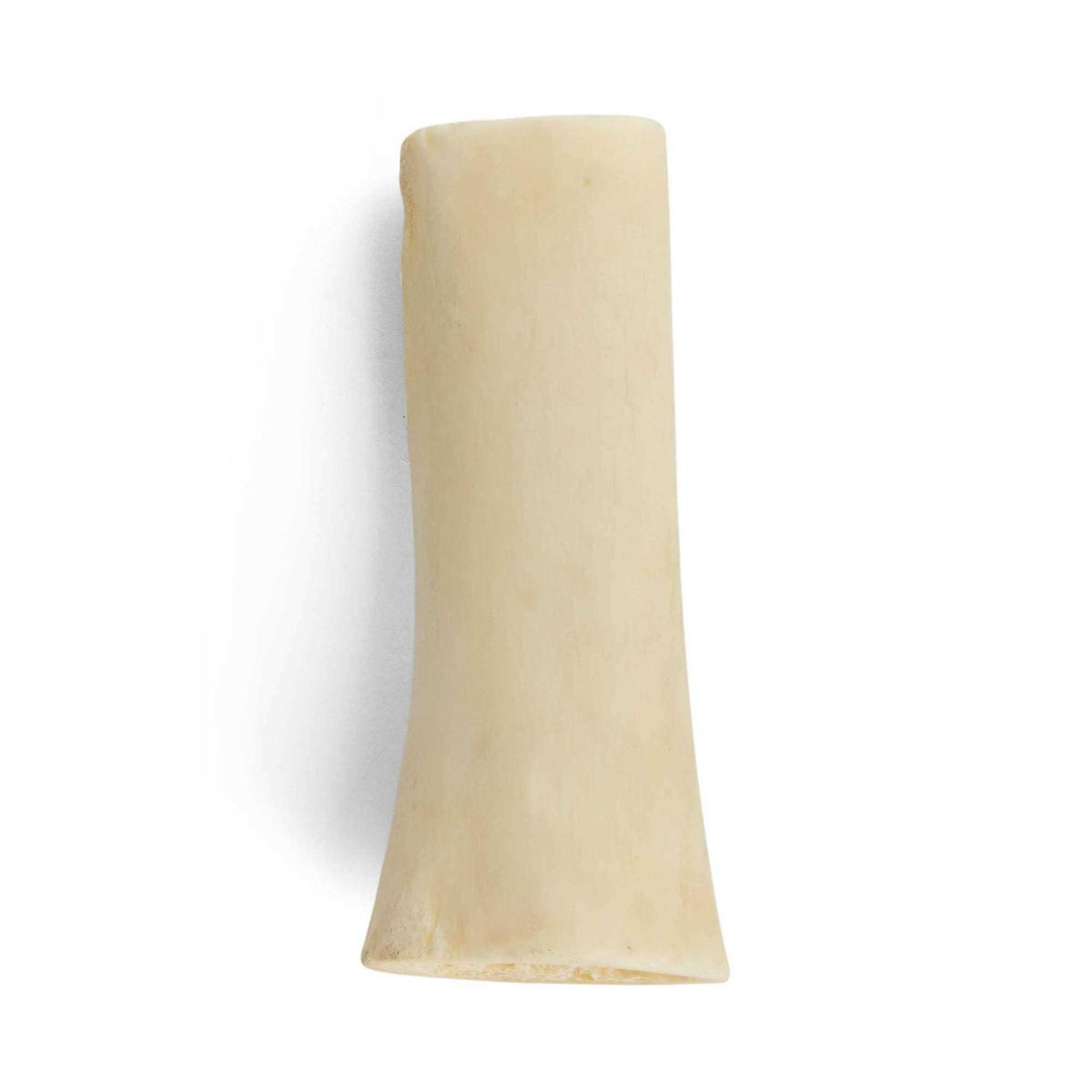 Hollow Bone for Dogs V1341