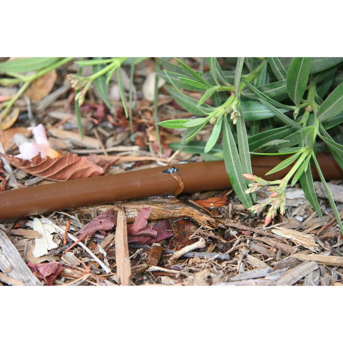 0.25 in. x 50 ft. Emitter Tubing, Brown M223910