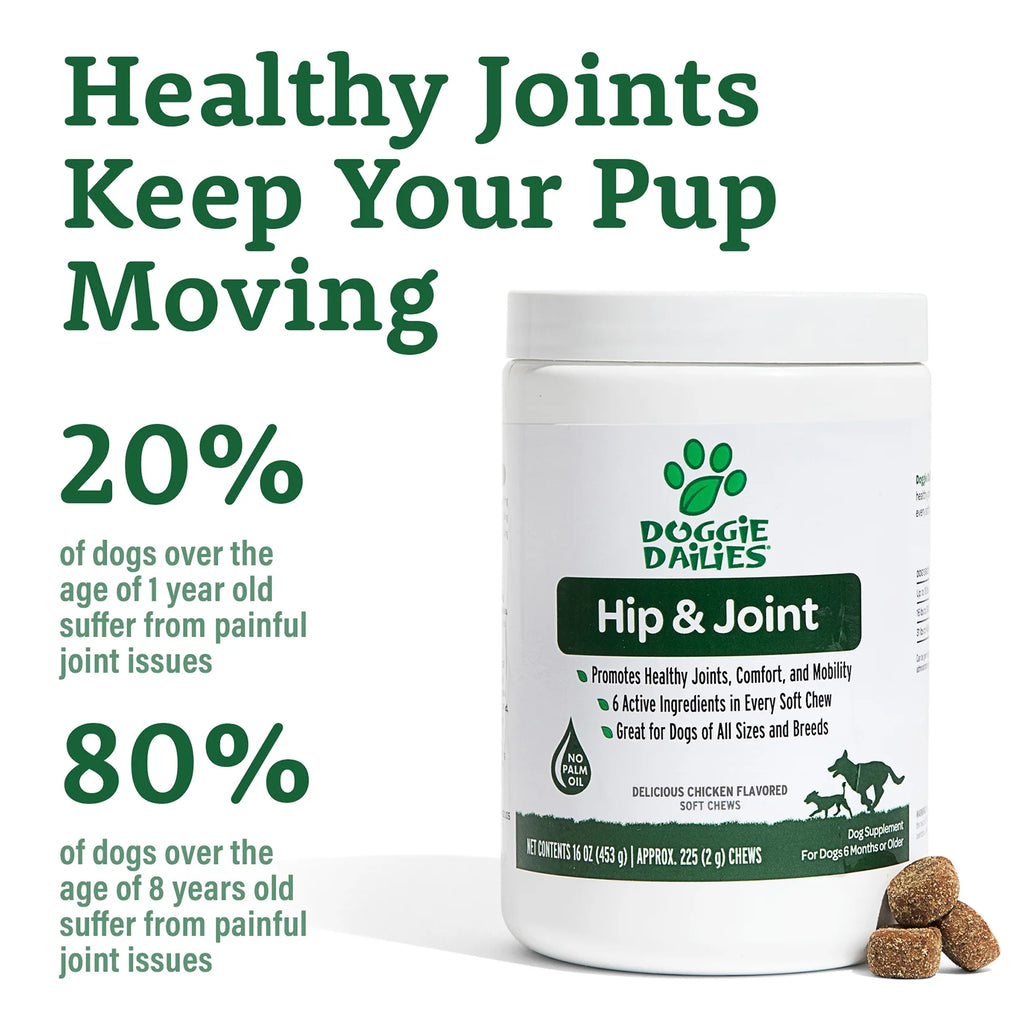 Glucosamine for Dogs 225 Chews Joint Supplement with Chondroitin MSM Hyaluronic Acid CoQ10 Chicken S326
