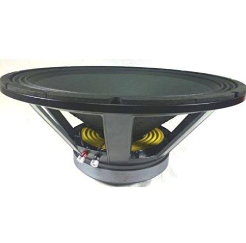 1000W Cast Frame Sub-woofer Speaker H1291