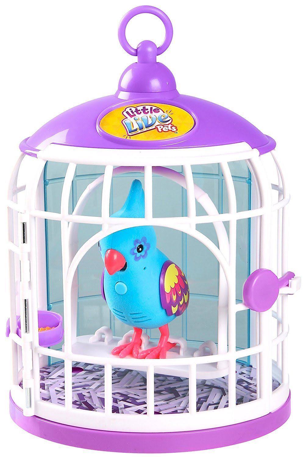 Bird with Cage U807559