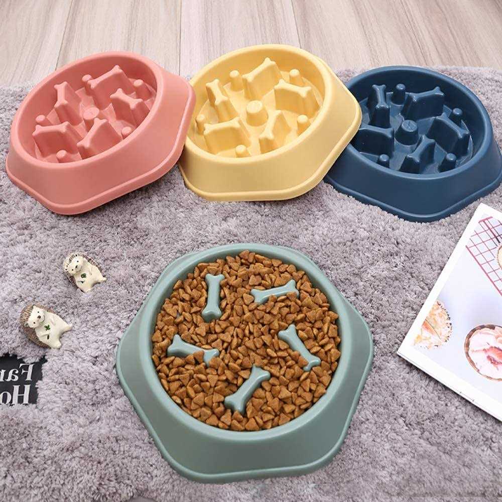 Slow Feeder Non Slip Dog Bowl Z168