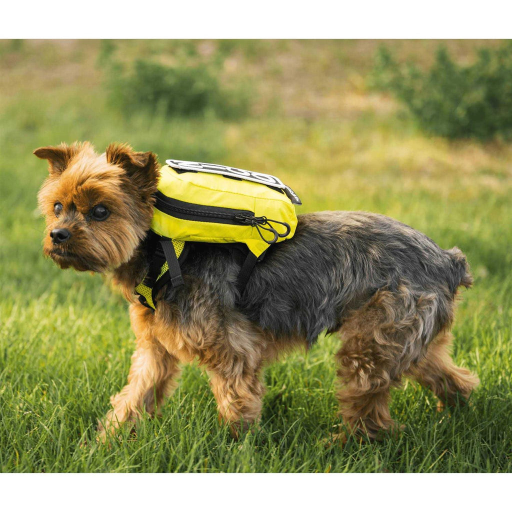 Pet Harness with Storage J556