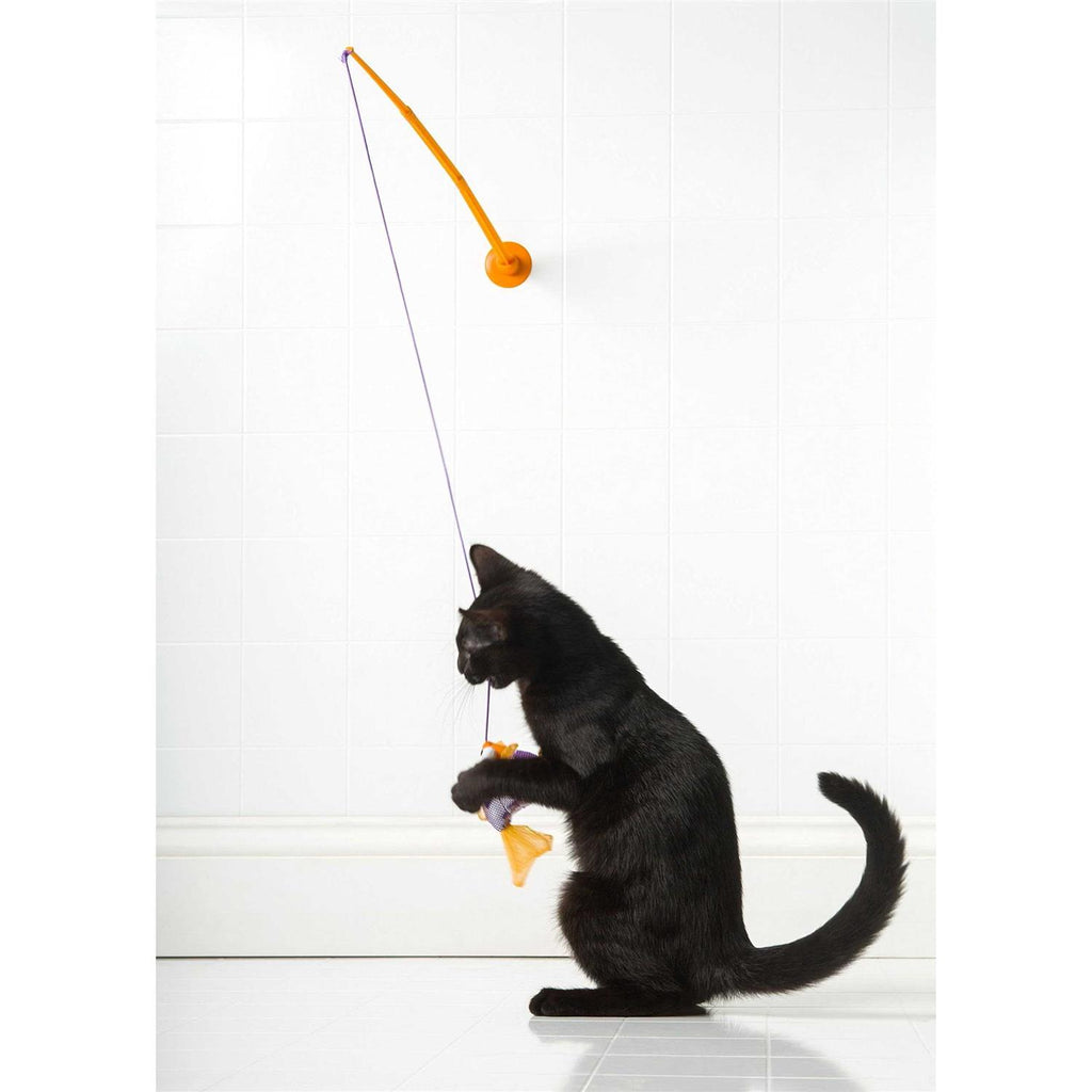 Cat Toy Z81671