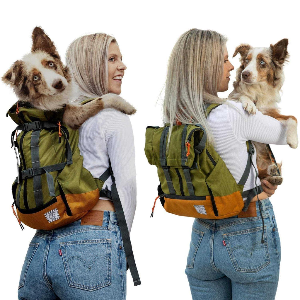 Pet Supplies D700055
