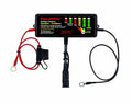 48V On-Board Desulfator W49909