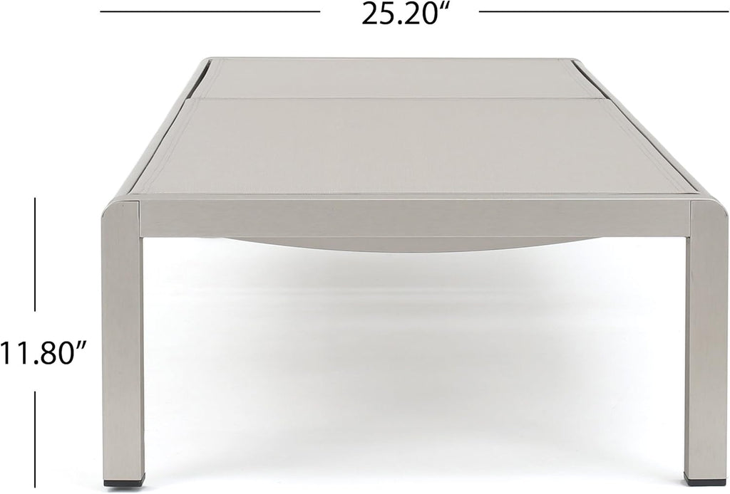 Gray Outdoor Mesh Chaise Lounges 2-Pcs Set W231