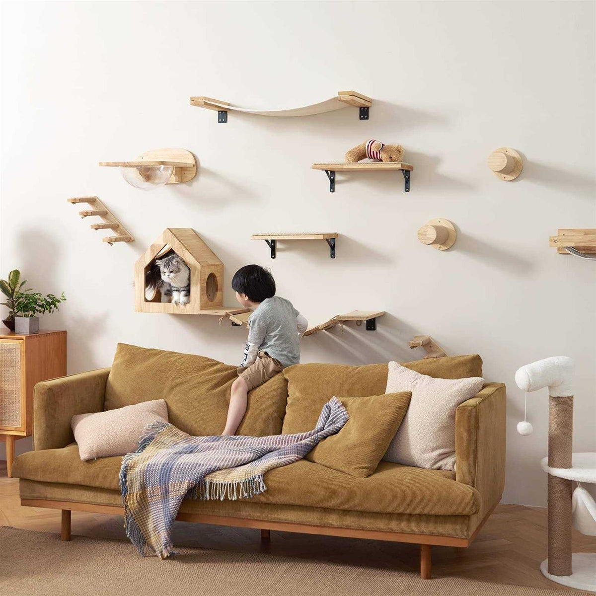Cat Wall Furniture Set Transparent Capsule Cat Wall Shelves with 2 PCS Pedals S924