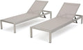Gray Outdoor Mesh Chaise Lounges 2-Pcs Set W231