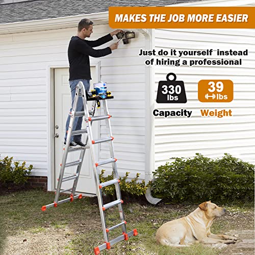 6 Step Multi Position Ladder S625