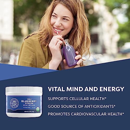 USDA Organic Wild Blueberry Supplement Powder, 62 Servings (250g) W484