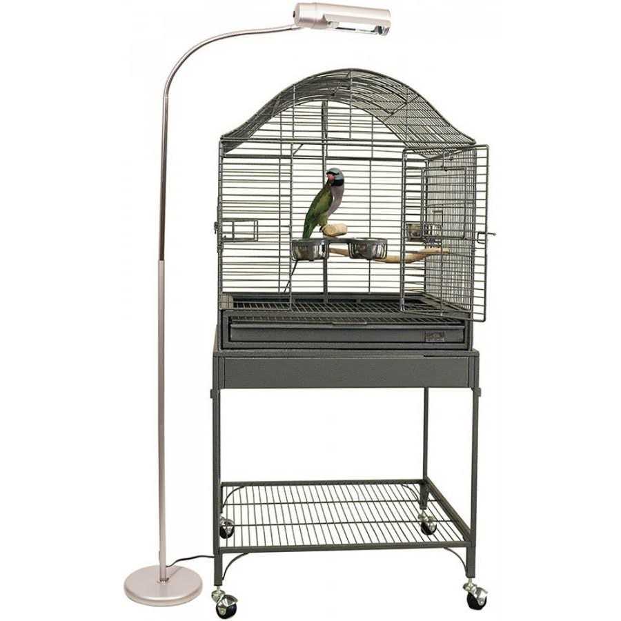 Avian Sun Deluxe Floor Lamp H742