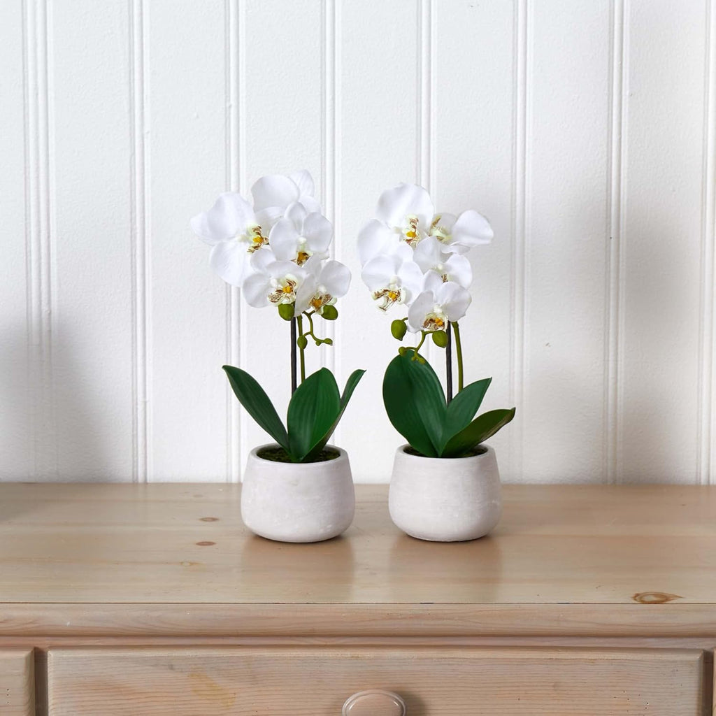 Set of 2 Artificial Phalaenopsis Orchid Arrangement N461852