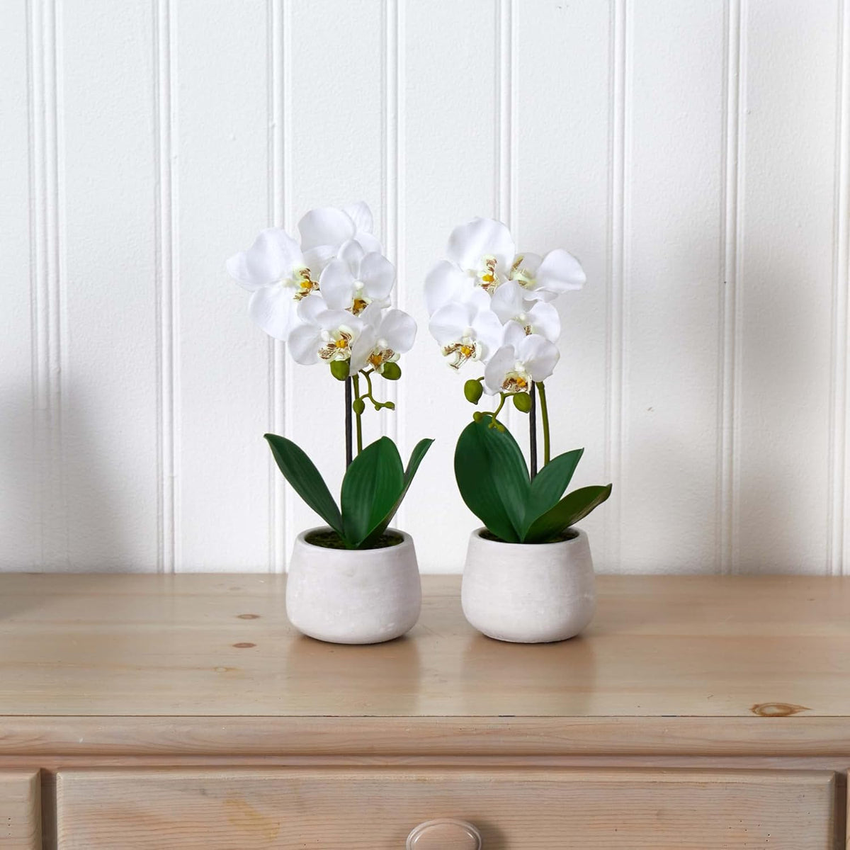 Set of 2 Artificial Phalaenopsis Orchid Arrangement N461852