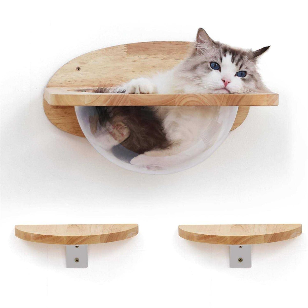 Cat Wall Furniture Set Transparent Capsule Cat Wall Shelves with 2 PCS Pedals S924