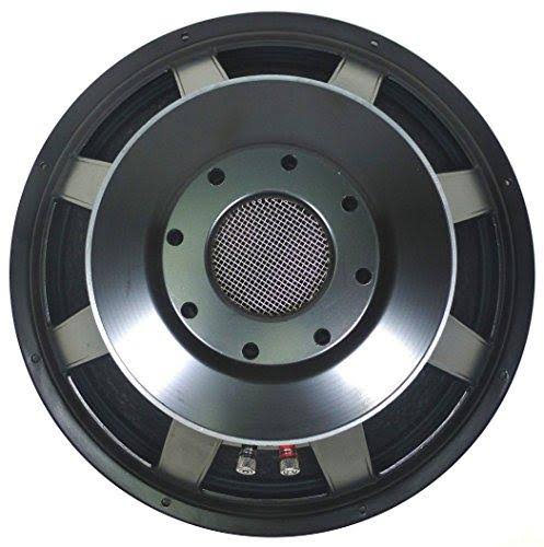 1000W Cast Frame Sub-woofer Speaker H1291