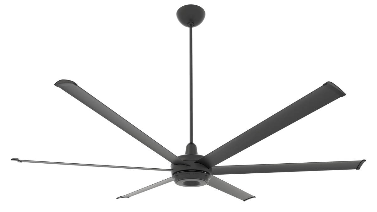 Black Ceiling Fan L904