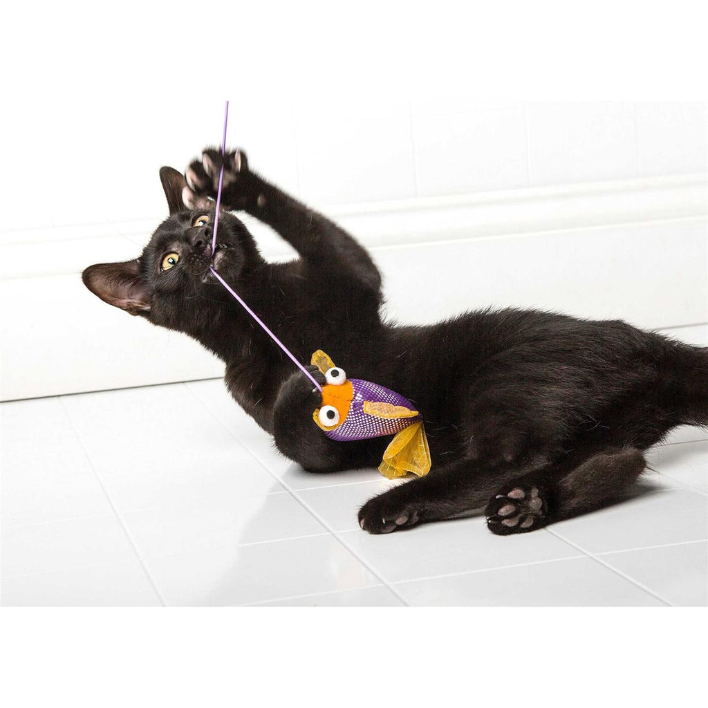Cat Toy Z81671