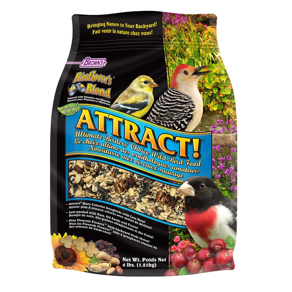 Dry Food L20992