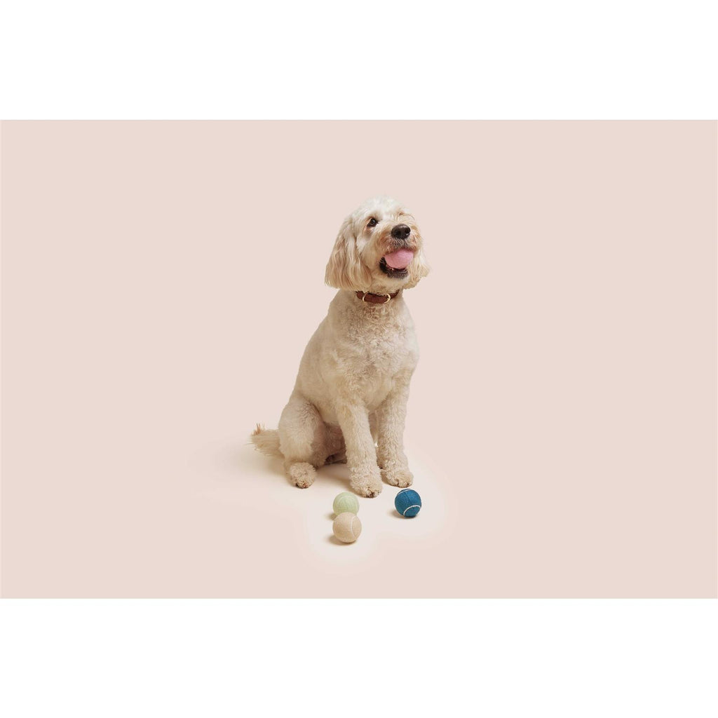 Dog Tennis Balls Q4648