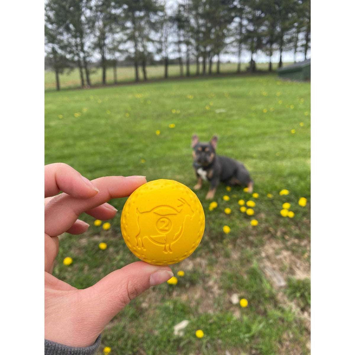 Goat Sport Ball Dog Toy C770