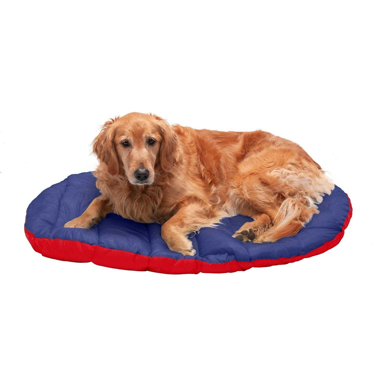 Packable Travel Dog Bed S543