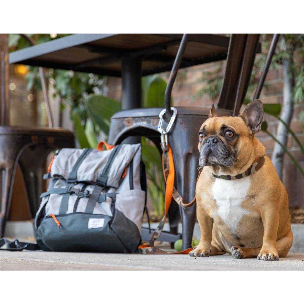 Pet Supplies D700055